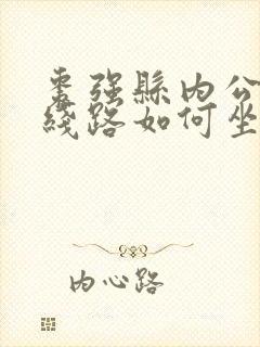 枣强县内公交车线路如何坐