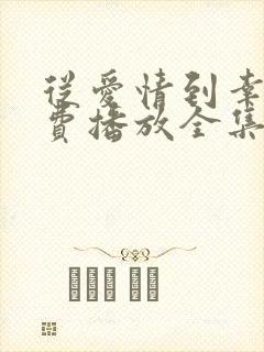 从爱情到幸福免费播放全集高清版电视剧