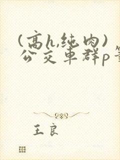 (高h,纯肉)公交车群p笔趣阁