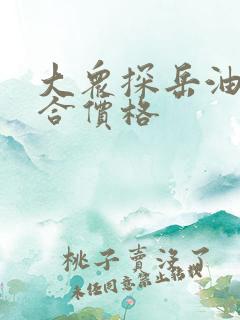 大众探岳油电混合价格