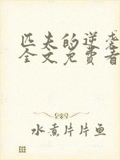 匹夫的逆袭小说全文免费看