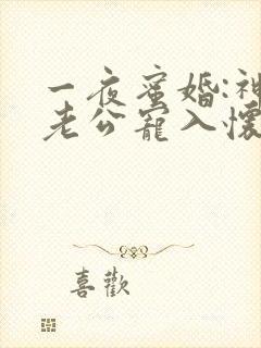 一夜蜜婚:神秘老公宠入怀免费全文阅读