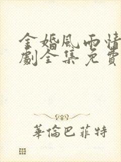 金婚风雨情电视剧全集免费