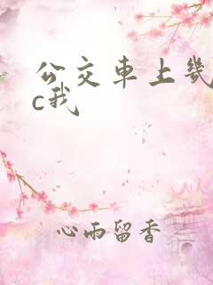 公交车上几个人c我