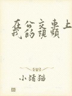 在公交车上要了我的视频