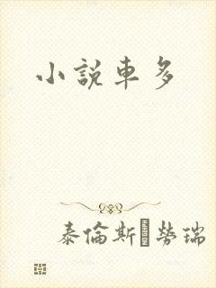 小说车多