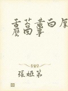 舌苔黄白厚是怎么回事