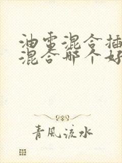 油电混合插电式混合哪个好