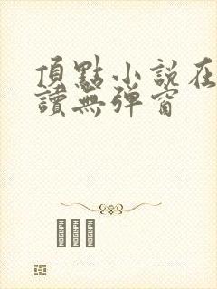 顶点小说在线阅读无弹窗