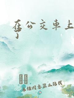 在公交车上被插了