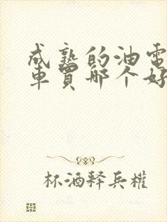 成熟的油电混合车买哪个好