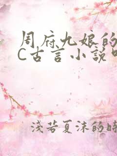 周府九娘的NPC古言小说叫什么