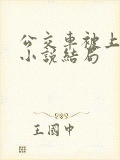 公交车被上高潮小说结局