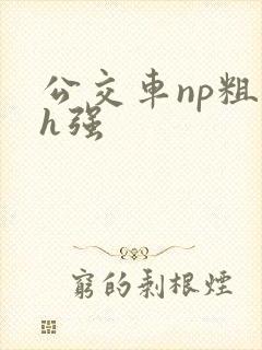 公交车np粗暴h强