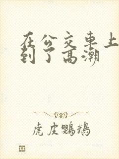 在公交车上被摸到了高潮