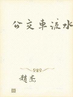 公交车流水