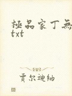 极品家丁无删减txt