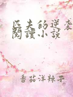 匹夫的逆袭免费阅读小说