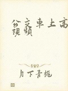 公交车上高潮了视频