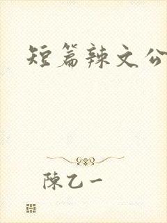 短篇辣文公交