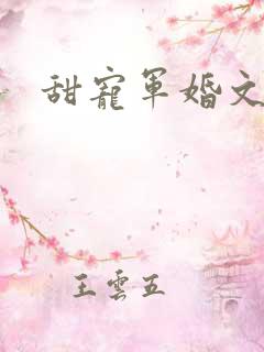 甜宠军婚文