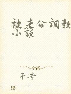 被老公调教女奴小说
