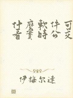 什么软件可以查看实时公交