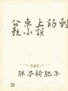 公车上的刺激调教小说