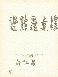 混动车上牌照是蓝牌还是绿牌