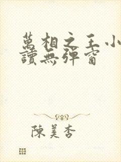 万相之王小说阅读无弹窗