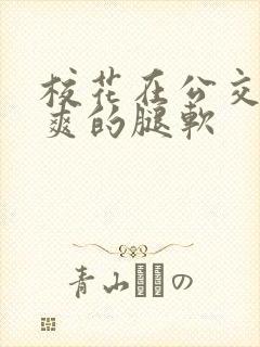 校花在公交车上爽的腿软