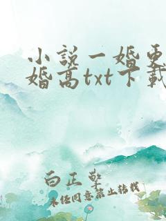 小说一婚更比一婚高txt下载