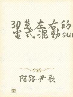 30万左右的插电式混动suv