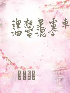 理想是电车还是油电混合
