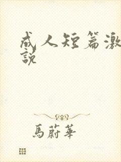 成人短篇激情小说