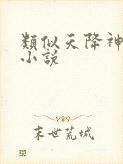类似天降神妻的小说