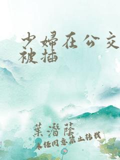 少妇在公交车上被插
