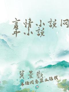 言情小说网 老年小说