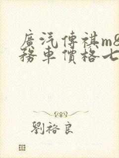 广汽传祺m8商务车价格七座车