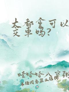 大都会可以坐公交车吗?
