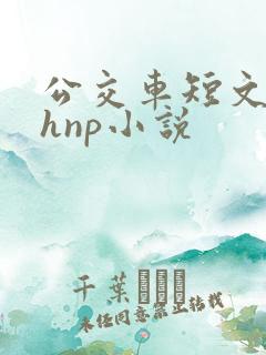 公交车短文高辣hnp小说