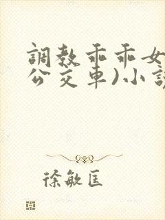 调教乖乖女h(公交车)小说