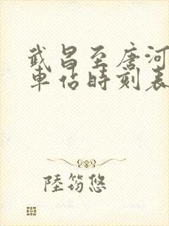 武昌至唐河的火车站时刻表