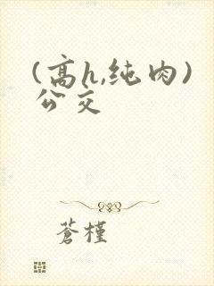 (高h,纯肉)公交