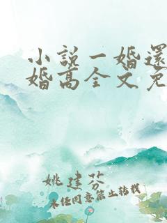 小说一婚还比一婚高全文免费阅读晨雾的光