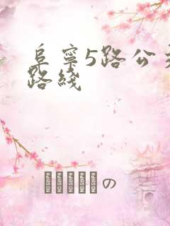 阜宁5路公交车路线