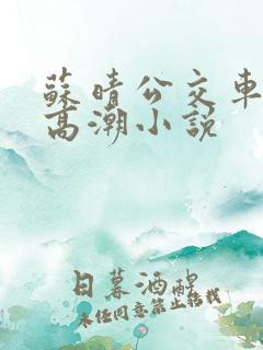 苏晴公交车被弄高潮小说