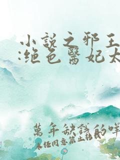 小说之邪王独宠:绝色医妃太逆天