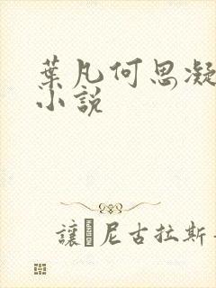 叶凡何思凝七月小说