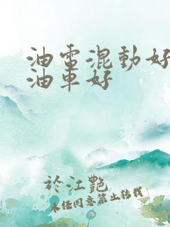 油电混动好还是油车好